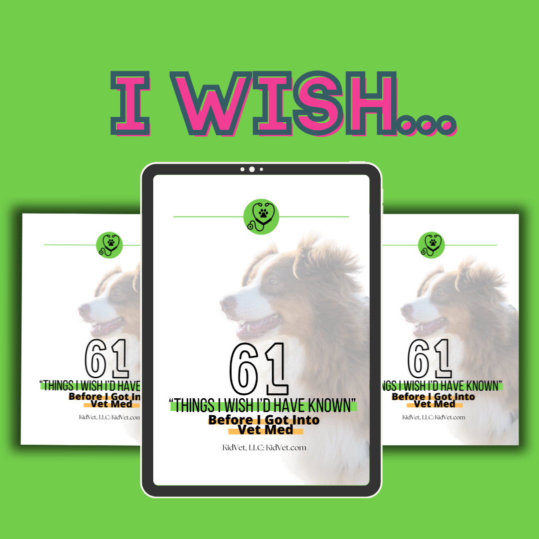 61 Things I wish I knew before going to vet school, how to get into vet school, vet experiences for kids