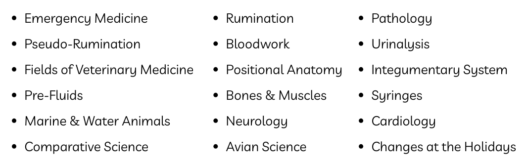 How to become a vet, how to be a veterinarian