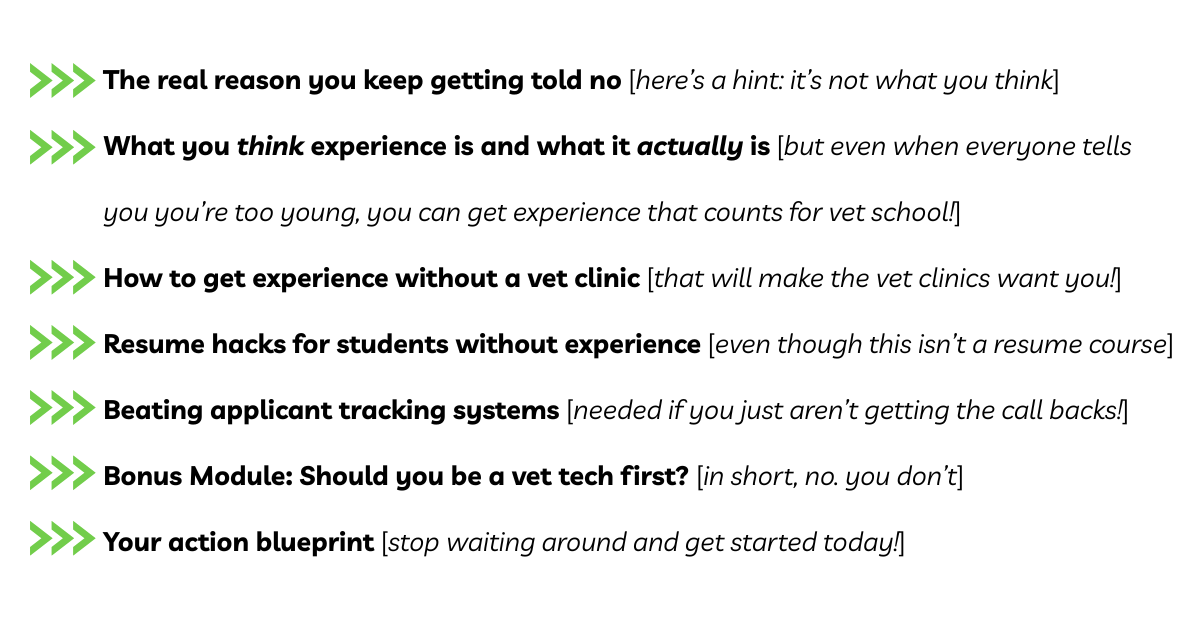 How to become a vet, how to be a veterinarian